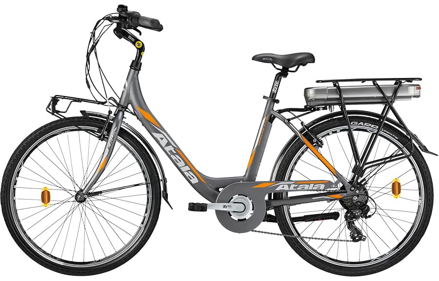 Bici elettrica a pedalata assistita