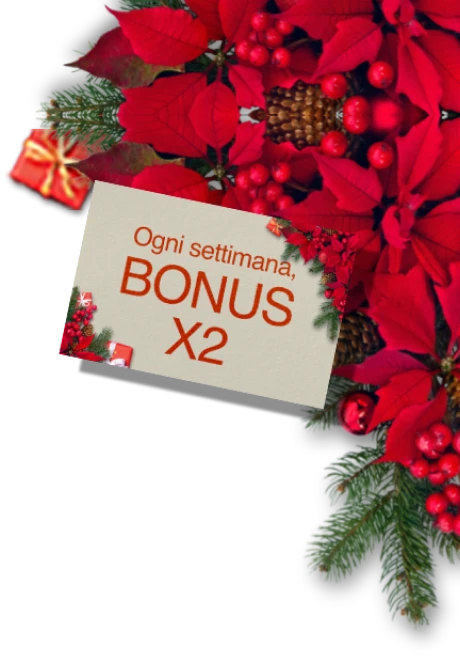 Decorazione Natalizia