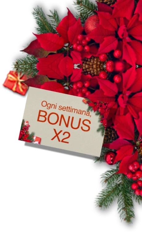 Decorazione Natalizia