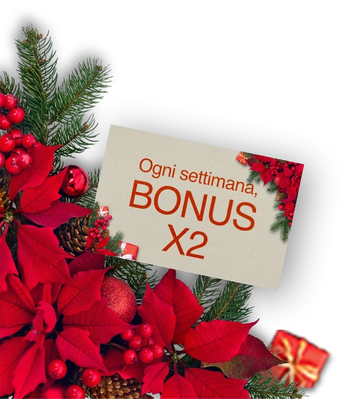 Decorazione Natalizia